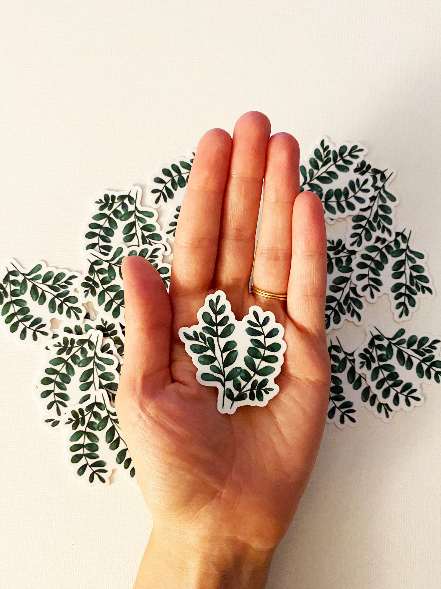 Greenery Vine Sticker