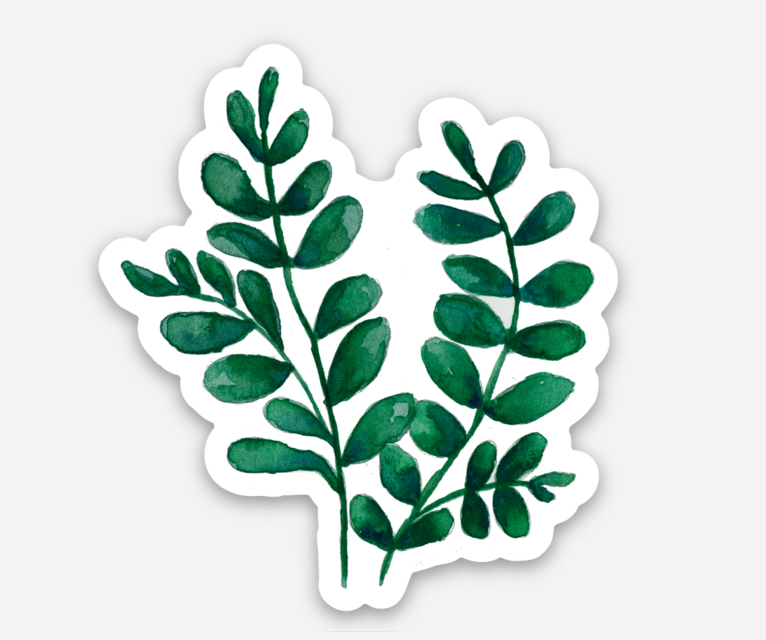 Greenery Vine Sticker Wild Juniper Art Studio