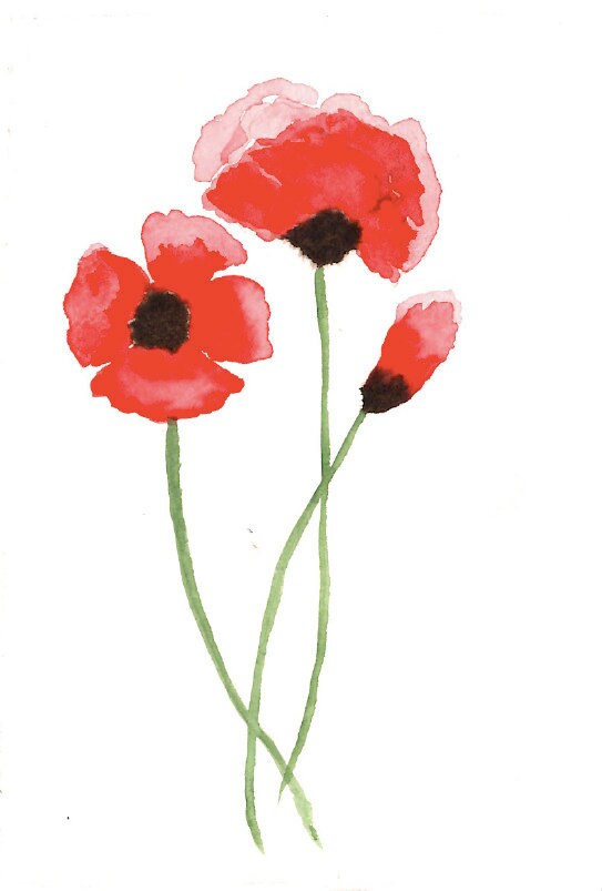 Poppy Water Colour Print