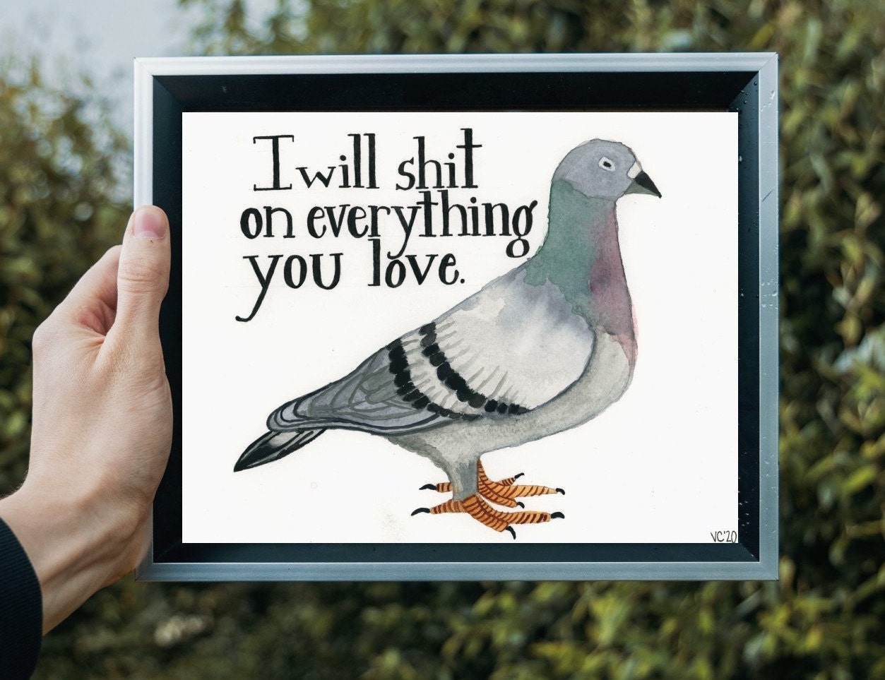 Pigeon with Attitude Print