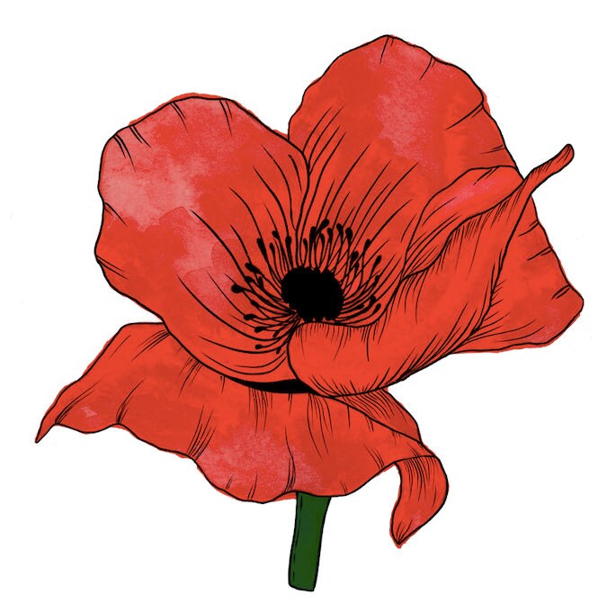 Poppy Greeting Card