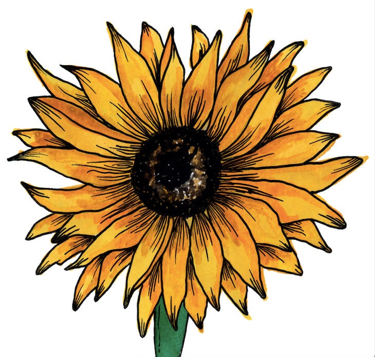 Sunflower Greeting Card