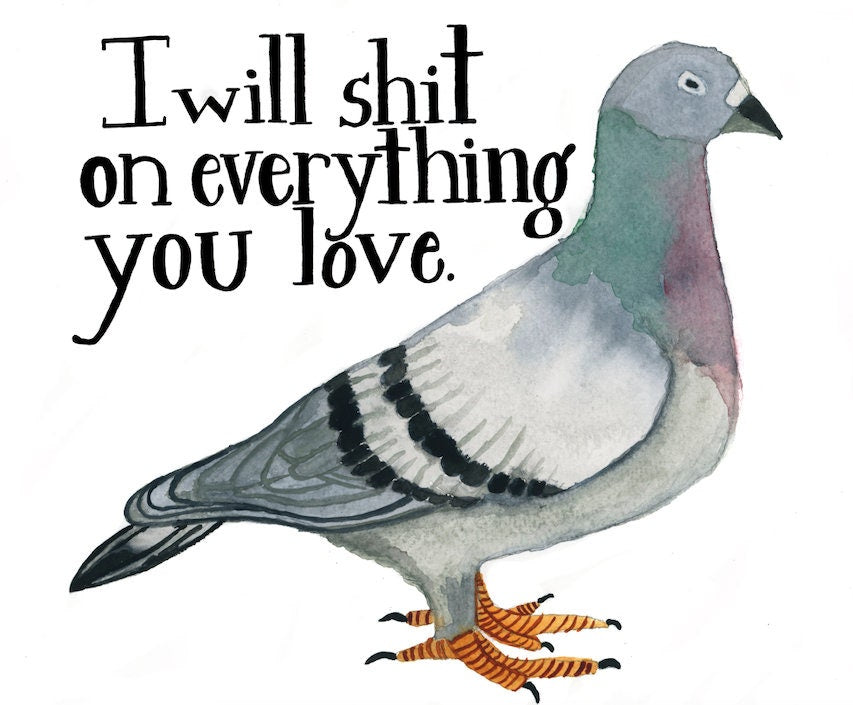 Pigeon With Attitude Greeting Card