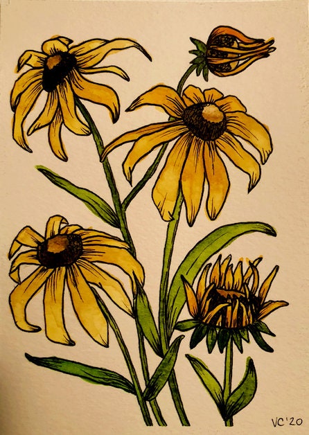 Daisy Watercolour Print