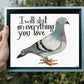 Pigeon with Attitude Print
