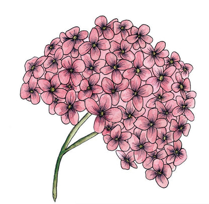 Hydrangea Greeting Card